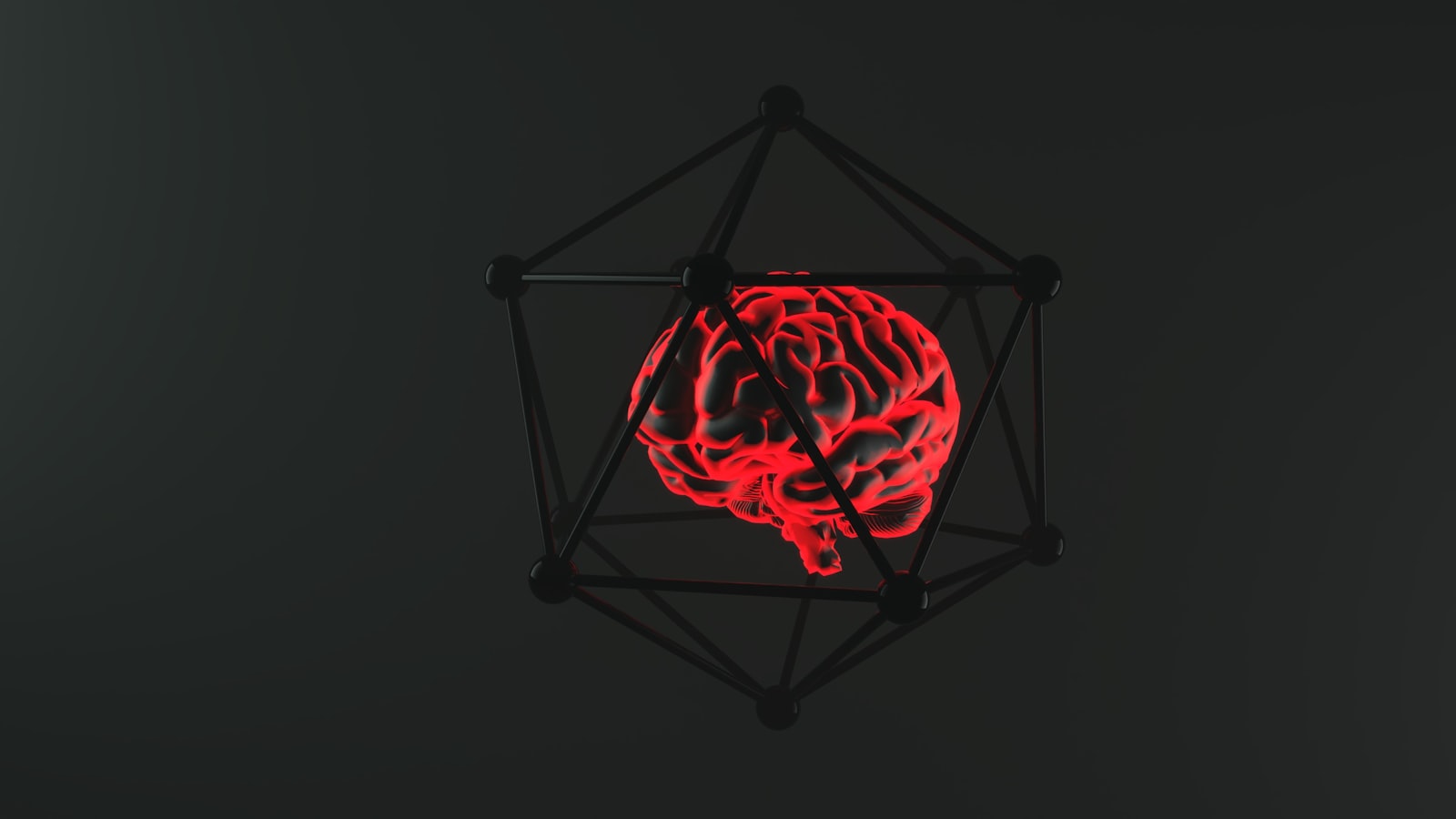 Neuroplasticité et performance des dirigeants : la biologie de la décision sous pression